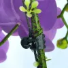 Clips de plante de jardin Plante Certe de support Clips de greffage