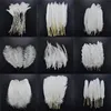 20pcs/lot white feasant Crafts for Crafts Duck Goose Feather