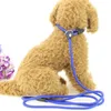 Pet Dog Nylon Rope Training Leashes Slip Lead Strap Adjustable Traction Collar Dogs Ropes Supplies 0.6*130cm