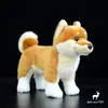 Cine Lifele -Ceca Terrier Doll Shiba Inu Collie Samoyed Model Miniatura Miniatura SCHNAUZER DOG PLUSH giocattoli