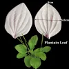 26 tipi Flowerleaf Petal silicone Stampo Fondante stampo stampo Strumento di decorazione di decorazioni gumpaste argillino zucchero zucchero gary c336 C336