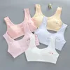 Симпатичная девочка нижнее белье Bra Vest Детское новое печатное нижнее белье спортивное белье с долемый нижнее белье 8-16 лет обучение бюстгальтеров для девочек