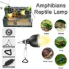 25/50/75W Reptile Lampe Pet Chaleur chauffante Bulbe Turtle Planant les amphibiens Amphibiens Lézards Température Contrôleur Bulbes de chauffage