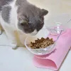 Cat podwójna miska z podniesioną stojakiem miska kota miska psów bez poślizgu karma dla zwierząt i miski na wodę dla kotów karmniki karmienia zwierząt domowych