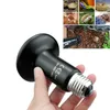 Hot Sale Pet Reptile Far Infrarood Keramische verwarmingslamp 220V Warmte -emitter Lichtbol 25W 50W 75W 100W 150W 200W