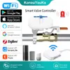 TUYA Smart Home Zigbee WiFi Smart Water Valve Acqua Valvola a gas Valvola Giardino Controller di tempistica dell'irrigatore per Alexa Google