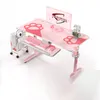 2023 Neues Pink -Gaming -Tisch Mädchen Schlafzimmer zusammengebautes Computer Schreibtisch 120x60x76.5 cm niedliche Katzenpfoten Druck Desktop Computer Schreibtisch Hot Sale Sale