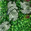 装飾的な花人工庭のフェンスアイビーリーフヘッジグリーン植物装飾パネルフェイクプライバシースクリーン