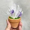 1pc Amethyst Stone Plantes en pot