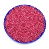 16g 1000pcs 2 mm 12/0 Red Clair Colorful Round Loose Spacer Perles CEZCH Perles de graines de verre