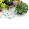 Hot 8cm pour animaux de compagnie Disenseur Pet Toys Creative Guinée Pig Hamster lapin sphère suspendue Grass Hay Ball Ball Pet Toys Nouveau Arrivée