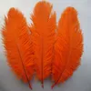 Belo Avestruz Feather 10 PCS Comprimento de penas de 6 a 8 polegadas / 15 a 20 cm de casamento para decorar uma variedade de cores opcionais