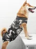 Hundkläder husdjur steriliseringskläder avvänjning postoperativa kläder