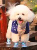 Spring Summer Mesh Pet Dog Chaussures