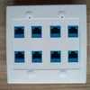 FÖRDERUNG!Ethernet -Wandplatte 8 Port - Doppel Gang Cat6 RJ45 Keystone Jack Network Kabel Facplate Female zu weiblich - Blau