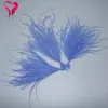 19 kleuren 1 stks/perceel maat 10-15/15-18 cm Fancy geverfde gekleurde natuurlijke struisvogel veren filament gespannen voor ambachtelijke schoenen sieradenzakken