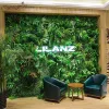 40x60 cm 3d grüne Künstliche Pflanzen Wand Panel Plastik Plastik im Freien Teppichdekoration Hochzeit Kulissen Party Gartengras Blumenwand