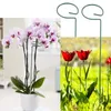 6/10pcs 25/30/35/40/45cm plant support stakes Garden Support Stake Ring Metal Garden Plant Supports Single Stem Shrub Holders
