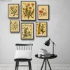 Botaniska örter växter blommor retro affisch vild växtstudie kraft papper diy vintage hemrum dekor estetisk konst väggmålning