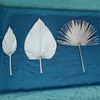 Hvayi-Palm Fan Leaf, fleur séchée, réception de table, art de banquet, décoration suspendue au mur, arc de mariage