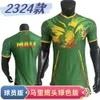 Soccer Trikots Männer 2324 Mali Green Hawkhead Football Jersey Player Edition druckbar