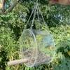Pappagallo acrilico trasparente rotondo di uccelli selvatici per mangiatoia giocattolo gabbia portatile appeso alimentare da giardino per esterni tagli di uccello appeso
