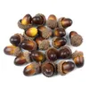 20/60PCS 3cm Artificial Mini Acorns, Fake Fruit Props Lifelike Oak Nut Plants Model Craft for Home Kitchen Table Decor