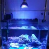 Aquário de aquário LED LED LED LED PET PEIX PLANT TANQUE CROVE BULB 54W PARA ALGUELA DE CORAL DE CORES MARINHO DE ÁGUA SALTA ALGAS