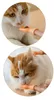 Cat speelgoed grappig interactief huisdierspeelgoed kitten puzzel massage reiniging benodigdheden gatos mascotas accesorios dla kota juguetes jouet