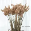 Natural Bunny Tail Gras Gedroogde bloemen voor decor lagurus boeket boho gedroogd konijn staart gras binnen salontafel decoratie