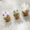 1pc Amethyst Stone Plantes en pot