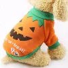 Ubrania kota Halloween karnawał zabawne ubrania dla zwierząt domowych pies pies halloween strój dla małych psów koty