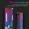 Tillbehör PBT OEM 165 Keys Pudding KeyCaps Double Shot Bakåsen med Puller Profile Anpassad nyckelkapt för 100% 75% 65% 60% Mekaniskt tangentbord