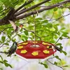 A 8 buche Hummingbird alimentatore per alimentazione per camino per uccelli forniture bere tazza di tazze per la fontana per acqua per uccelli all'aperto