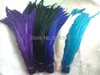 Rooster Tail Feather 1200pcs accessoires de vêtements diy bijoux bijoux têtes de port chapeaux