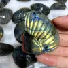 Decorative Figurines Good Flashing Labradorite Stones Natural Gems Scallop Seashell Witchcrafts Reiki Crystal Carvings Decorations Indie