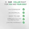 Benepaw Safe Dog Flea and Tick Collar Natural Hypoallergenic Waterproof Pet Collar One Size Fits All 8 Month Protection