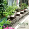 4 Pack Plant Support Stake Stake Metal Garden Plant Stake Green Half Round Plant Support Ring Plant Cage Plantondersteuning