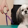 Benepaw professionele hondenschaar recht naar beneden gebogen huisdier snijden dunner wordende texturerende chunker schaar veiligheidsbeweging
