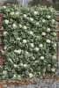 2m konstgjorda eukalyptus krans med vita rosor konstgjorda blommor Vine Greenery Plants for Wedding Room Wall Party Decor