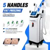 Criolipolisi perdita di peso sotto vuoto Macchina grasso Delizio Delizio Cryo Crioterapia Crioterapia Double Chin Minicryo 360 Raffreddamento