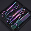 Nieuwe 7 inch professionele JP PET -schaar verzorging Shears voor honden die schaar schaar Scissorthinning Shears 6pcs/set + kammen snijden