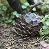 Outdoor Mini Locker Spare Garden Key Box Pine Cones Rock Hidden Hide In Stone Security Safe Storage Hiding Containers Safe Box