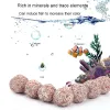 100g Aquarium Fish Tank Filter Media Partículas Holas Biológicas Bio Filtro para Acessórios para Aquários Decoração de Água Limpa