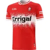 2024 Kerry GAA Home Jersey Shirt Heren Derry GAA Home Jersey 2024 Rugby Jersey Tipperary GAA Home County Jerseys Maat S-5XL