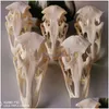 Objets décoratifs Figurines Taxidermy Real Autrrich Skl Animal Spécimens Collectibles Étude 230804 DROP DIVRIR