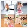 Kawaii Glass Cat Paw Food Bowl Mug Cute Sakura Double Layer Pet Dog Water Dispenser Mat Super värmesistenta matare PET-produkter