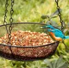Alimentador de pájaros de metal colgante balcón al aire libre alimentador de colibrí con cadena