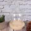 Bell en verre Bell Cloche Jar Small Wood Base Cloche Plantes Plantes