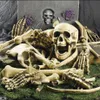 Ossos de esqueleto de Halloween 28 peças Halloween Prop Sketon Skull Houd House House Horror Prop Party Decorações de ossos complicados Clull C0242U